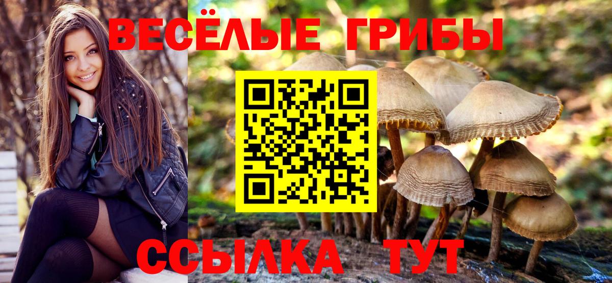 Батайск  Псилоцибиновые грибы прущие грибы  Вход с VPN  Галлюциногенные грибы MAGIC MUSHROOMS 