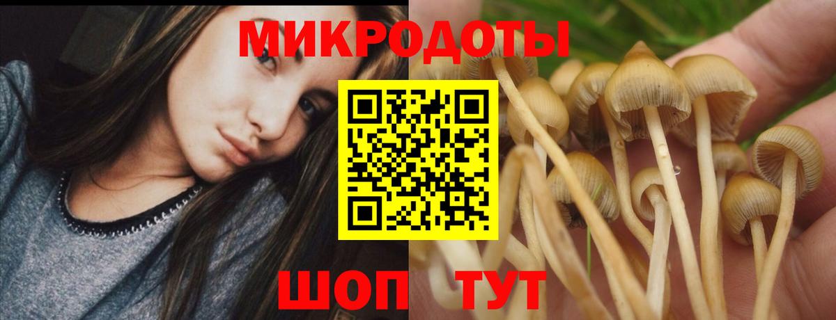 Псилоцибиновые грибы прущие грибы Батайск